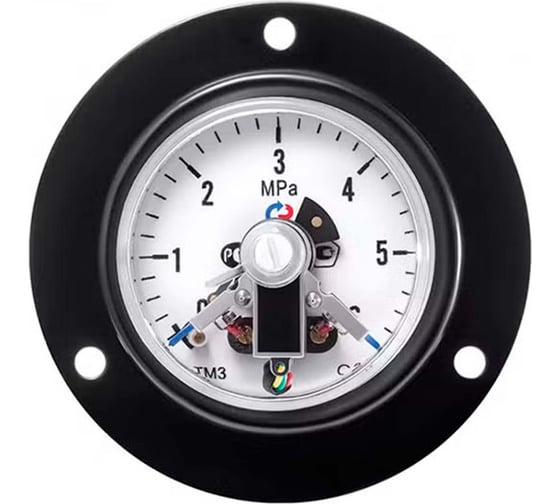 Манометр РОСМА ТМ-310ТКП.05 (0-1МПа) ДК63 G1/4 с электроконт. приставкой, 2.5 D070-01696 1