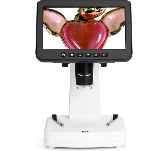 Микроскоп цифровой Levenhuk DTX 800 LCD 85296