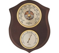 Погодная станция БРИГ БМ92172-1-В