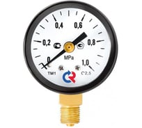 Росма Манометр ТМ-110Р.00 радиальный (0-0.25МПа) G1/8 2.5, ДК40мм РОСМА D070-02359