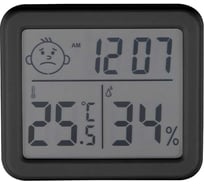 Термометр-гигрометр цифровой ENERGY EN-652, черный 110832