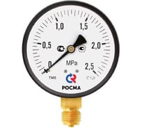 Манометр радиальный РОСМА ТМ-510Р.00 (0-16МПа) М20х1.5 1, ДК100мм D270-08510