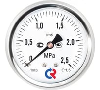 Манометр Росма ТМ-321Т осевой (0-1.6МПа) G1/4 1.5, ДК63мм, виброустойчивый, коррозионностойкий, сухой D240-00606