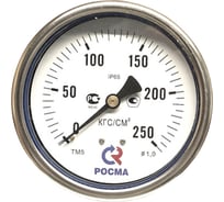 Манометр Росма ТМ-520Т.00 осевой (0-1.6МПа) М20х1.5 1, ДК100мм, виброустойчивый, сухой D070-03839