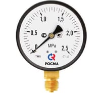 Манометр Росма ТМ-510Р.00 радиальный (0-2.5МПа) М20х1.5 1, ДК100мм D270-08506