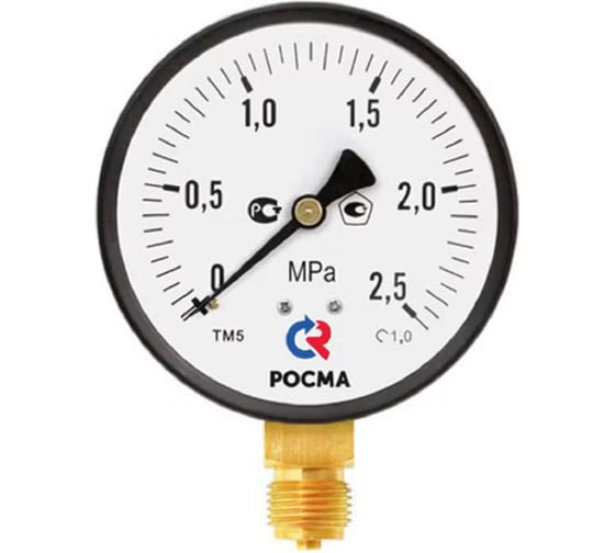 Манометр Росма ТМ-510Р.00 радиальный (0-1МПа) М20х1.5 1, ДК100мм D270-08505 1