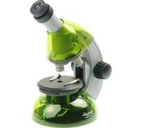 Микроскоп Микромед Атом 40x-640x /лайм/ 27385