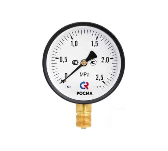 Манометр Росма ТМ-310Р.00 радиальный, 0-60МПа, М12х1.5 2.5, ДК63мм D070-01226 1