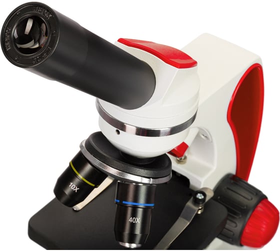 Микроскоп Discovery Pico Terra с книгой 77974