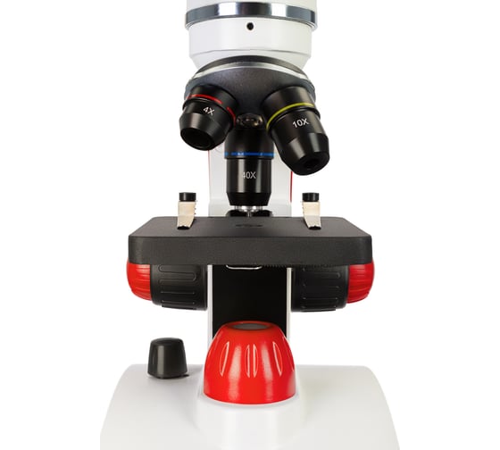 Микроскоп Discovery Pico Terra с книгой 77974