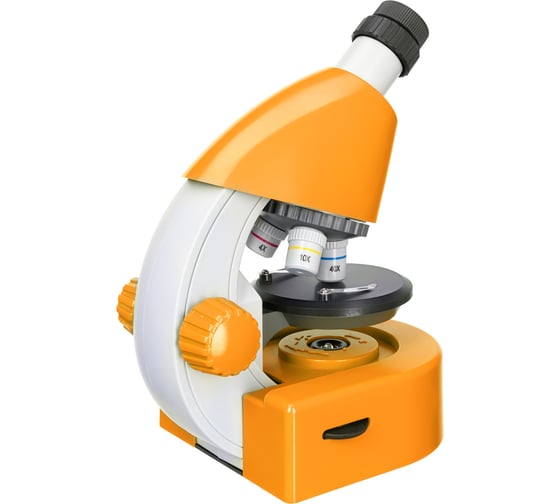 Микроскоп Discovery Micro Solar с книгой 77954