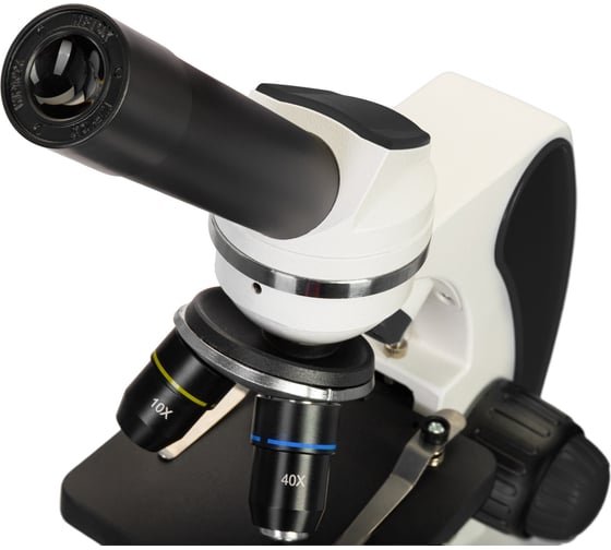Микроскоп Discovery Pico Polar с книгой 77977