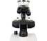 Микроскоп Discovery Pico Polar с книгой 77977 6