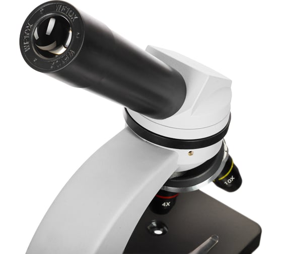 Микроскоп Discovery Nano Polar с книгой 77965