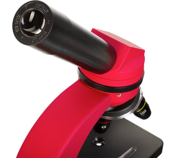 Микроскоп Discovery Nano Terra с книгой 77962