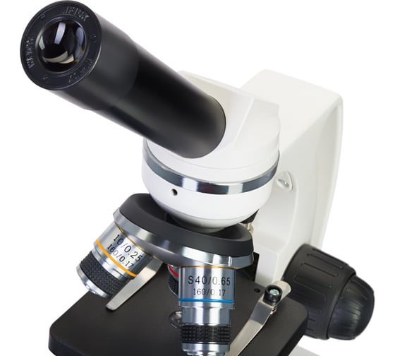 Микроскоп Discovery Femto Polar с книгой 77983