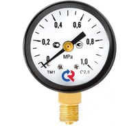 Манометр РОСМА ТМ-110Р.00 радиальный (0-0.6МПа) M10х1 2.5, ДК40мм D070-02340