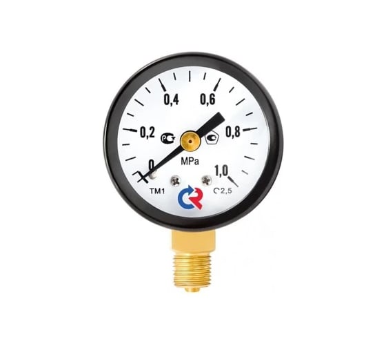 Манометр РОСМА ТМ-110Р.00 радиальный (0-0.6МПа) M10х1 2.5, ДК40мм D070-02340