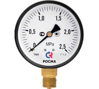 Мановакуумметр РОСМА ТМВ-510Р.00 радиальный (-0.1-1.5МПа) 1.0, ДК100мм, общетехнический D270-08550
