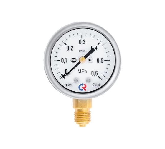 Манометр РОСМА ТМ-220Р.00 радиальный (0-0.6МПа) G1/4 2.5, ДК100мм, виброустойчивый, сухой D070-03677