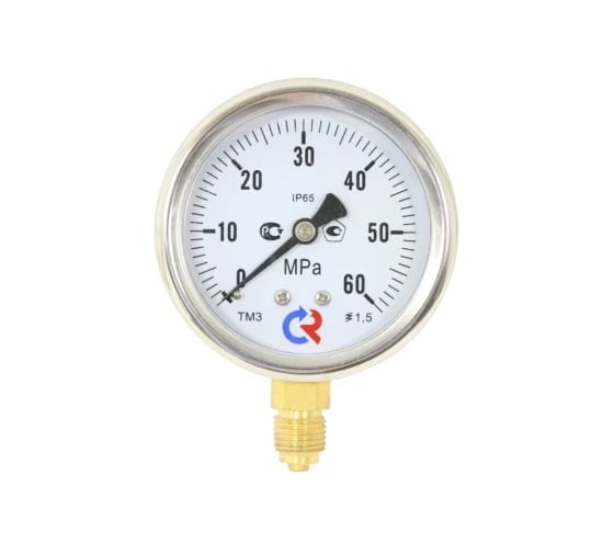 Манометр РОСМА ТМ-320Р.00 радиальный (0-0.6МПа) G1/4 1.5, ДК63мм, виброустойчивый, сухой D070-03725