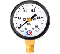 Манометр Росма ТМ-310Р.00 радиальный (0-0.1МПа) М12х1.5 1.5, ДК63мм D270-08478