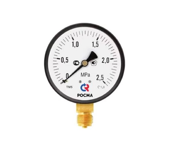 Манометр Росма ТМ-510Р.00 радиальный (0-6МПа) М20х1.5 1, ДК100мм D270-08509