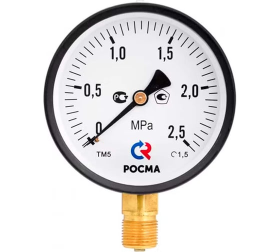 Манометр Росма ТМ-510Р.00 радиальный (0-6МПа) М20х1.5 1, ДК100мм D270-08509
