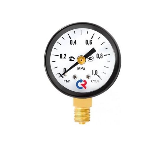 Манометр Росма ТМ-110Р.00 радиальный (0-0.1МПа) G1/8 2.5, ДК40мм D070-02333 1