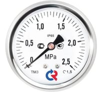 Манометр РОСМА ТМ-321Т, осевой (0-6 МПа), G1/4, класс 1,5, диаметр корпуса 63 мм, виброустойчивый, коррозионностойкий, сухой D240-00635