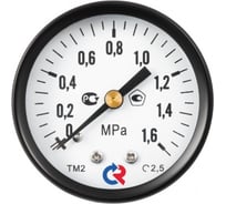 Манометр РОСМА ТМ-110Т.00, осевой (0-2,5 МПа), М10х1, класс 2,5, диаметр корпуса 40 мм D070-06089