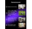 Цифровой анемометр Ermenrich Seek DN10, фиолетовый 86325 4
