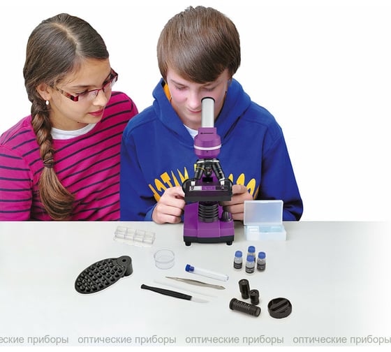 Микроскоп Bresser Junior Biolux SEL 40–1600x, фиолетовый 74321