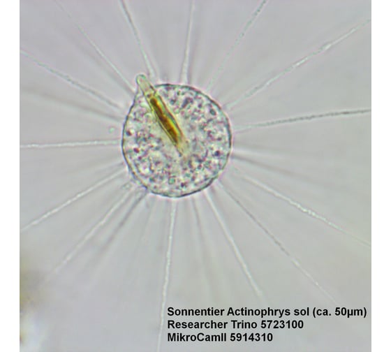 Микроскоп Bresser Researcher Trino 62567