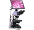 Микроскоп биологический цифровой MAGUS Bio D240T LCD 83282 12