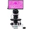 Микроскоп биологический цифровой MAGUS Bio D260T LCD 83284 8