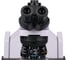 Микроскоп биологический цифровой MAGUS Bio D270T 83285 7