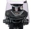 Микроскоп поляризационный цифровой MAGUS Pol D890 85294 17