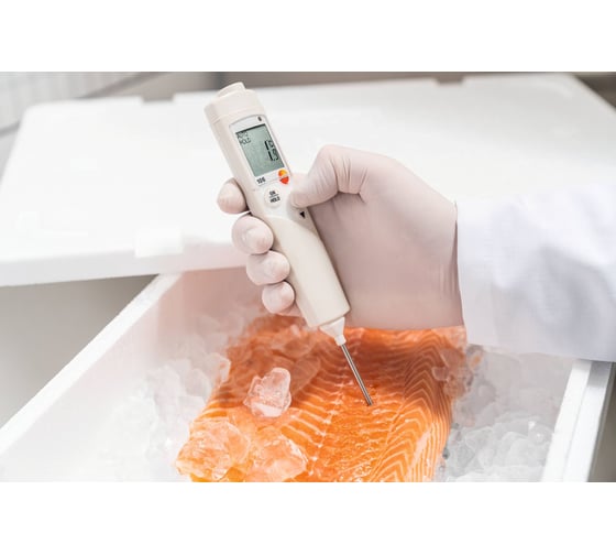 Комплект пищевого термометра Testo 106 с чехлом TopSafe 00000002388 0563 1063
