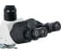 Цифровой тринокулярный микроскоп Levenhuk D900T, 5.1 Мпикс 75437 8