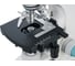 Цифровой тринокулярный микроскоп Levenhuk D900T, 5.1 Мпикс 75437 12