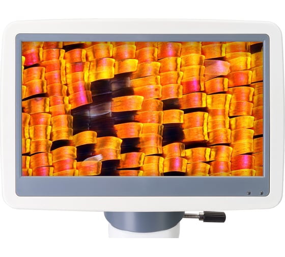 Цифровой монокулярный микроскоп Levenhuk  D95L LCD 78903