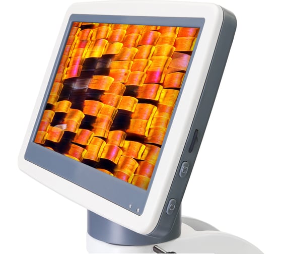 Цифровой монокулярный микроскоп Levenhuk  D95L LCD 78903