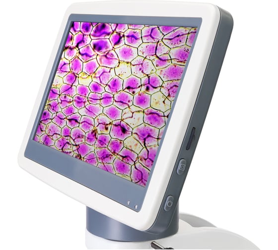 Цифровой монокулярный микроскоп Levenhuk D85L LCD 78902
