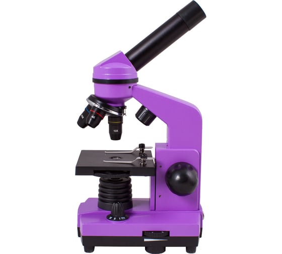 Микроскоп Levenhuk Rainbow 2L Amethyst 69036