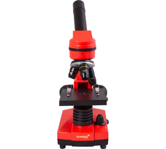 Микроскоп Levenhuk Rainbow 2L Orange 69039