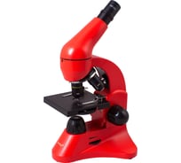 Микроскоп Levenhuk Rainbow 50L Orange/Апельсин 69050