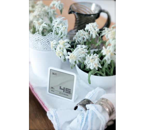 Гигрометр Stadler Form Selina hygrometer white S-060