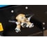 Дизельный компрессор AIRBOX LUY050-7 (на шасси с ПТС) 4105400527PTS 2