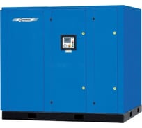 Компрессор Remeza ВК 120Р-8 ДВС 2885600